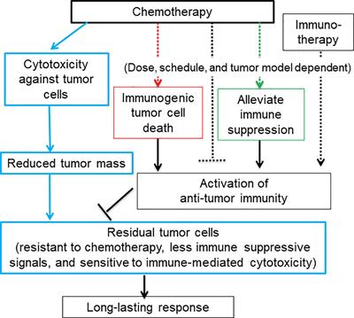 Immunogenic chemotherapy: great potential for improving response rates